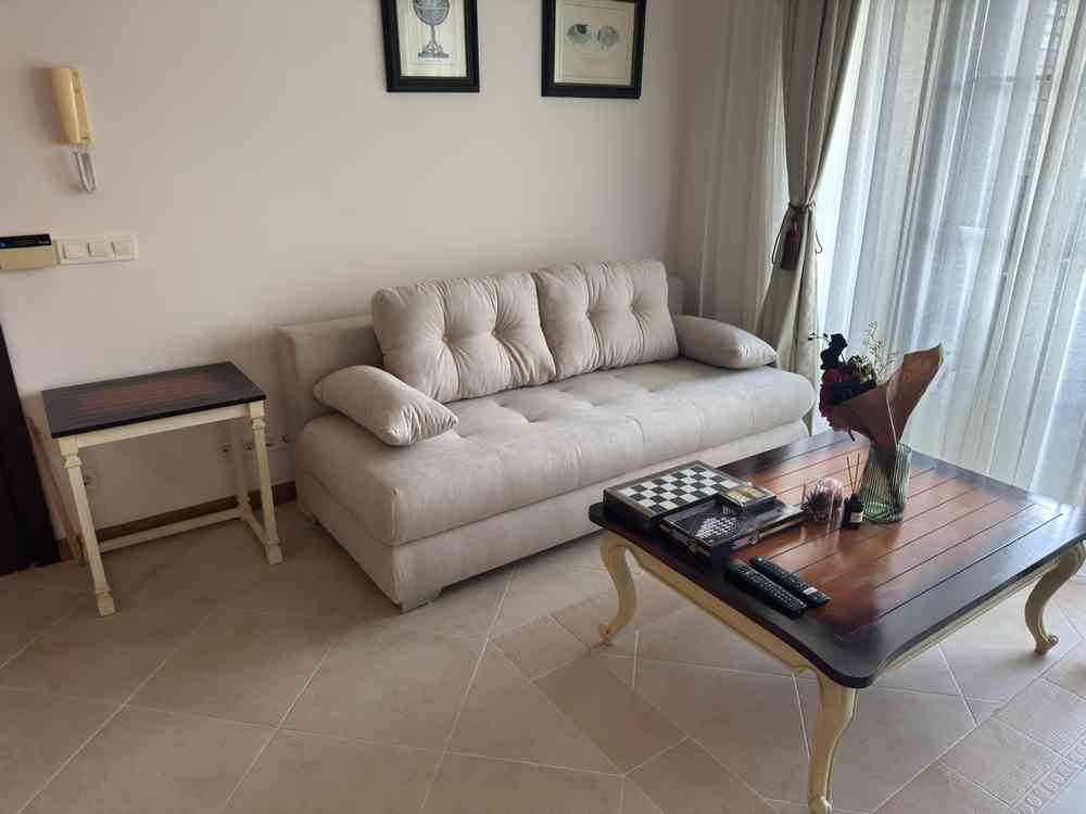 The living room with sofa and television